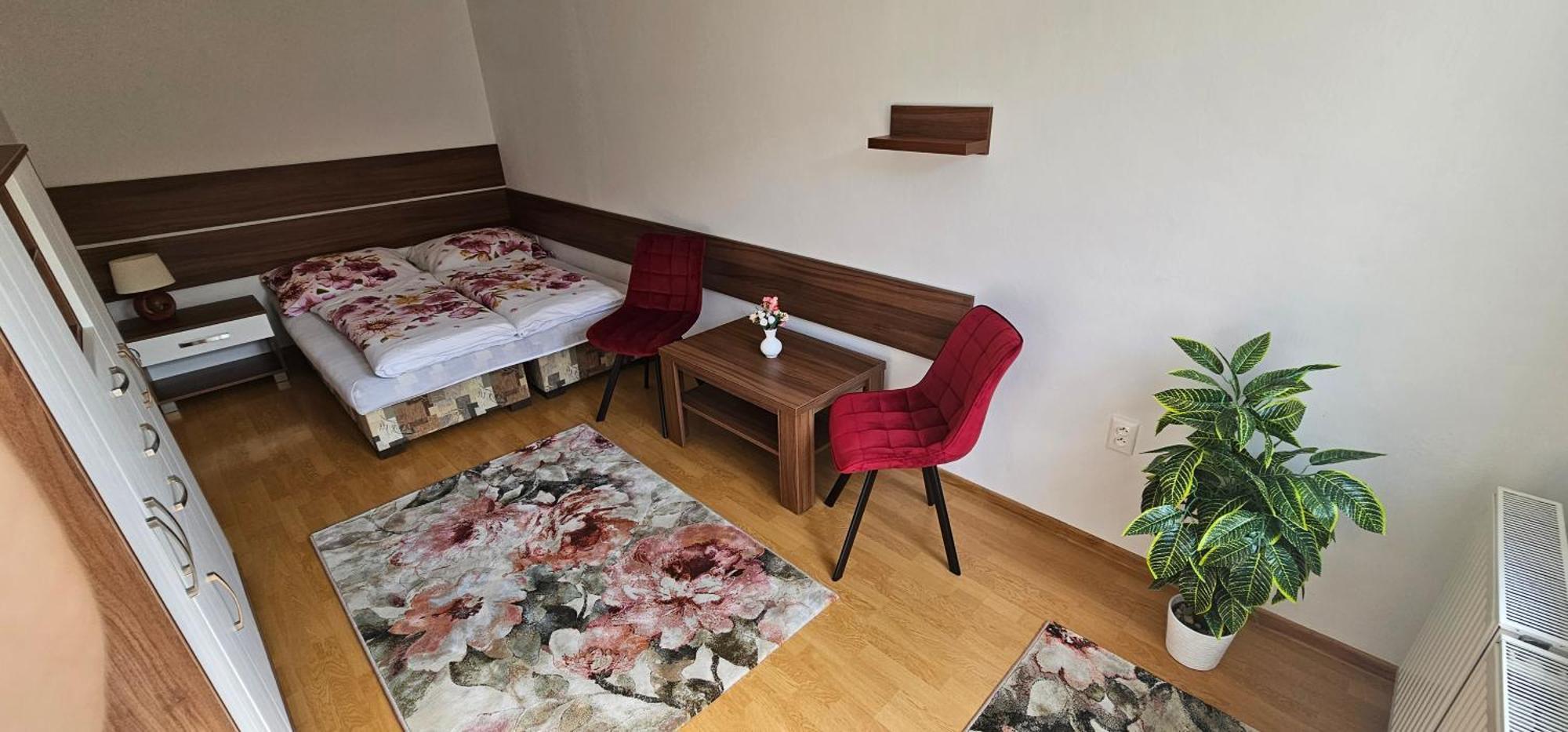 Privat Agnesa Hotel Zuberec Eksteriør billede